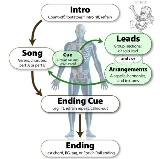 jamanatomy-page-001